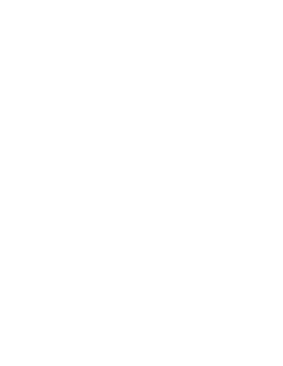 Champion Hover